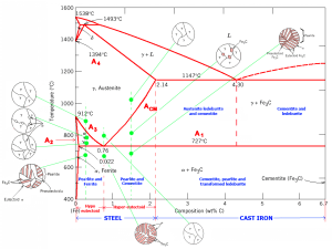 carbon balance diagram model